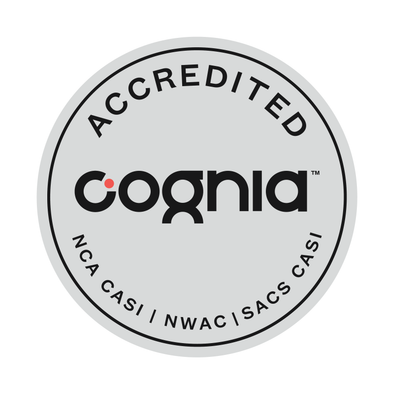 COGNIA BUS Decal